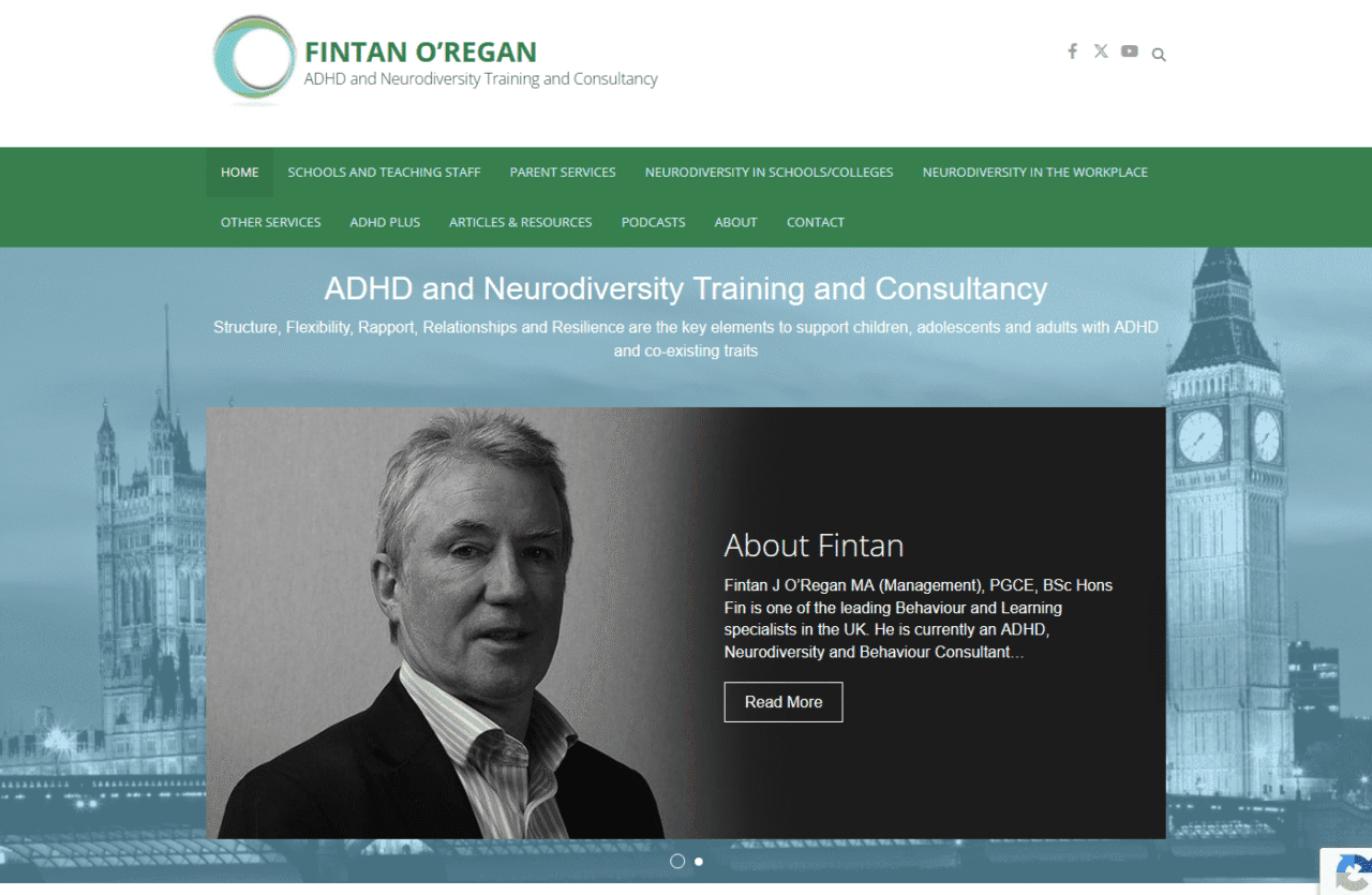 Fintan O'Regan project screenshot